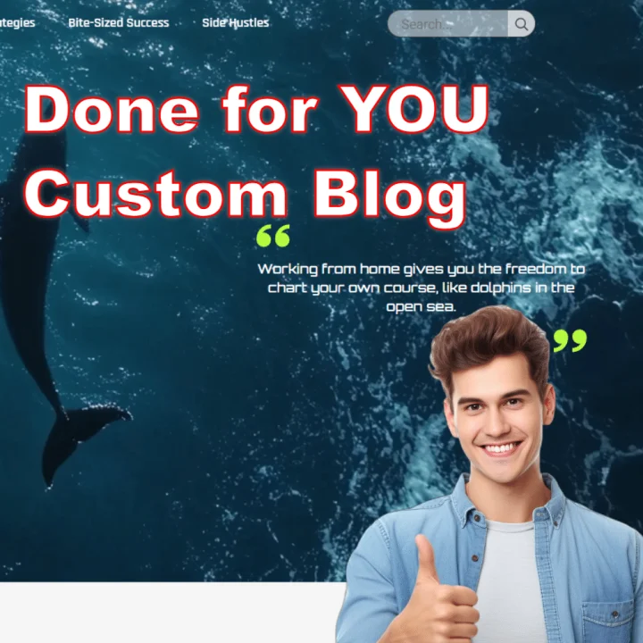 DFY BLOG